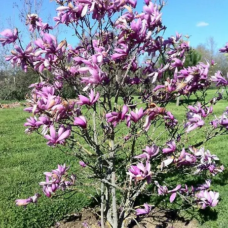 Tatil Evi Le Poulailler De La Soursol *