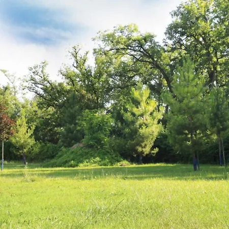 Le Poulailler De La Soursol * Rivières