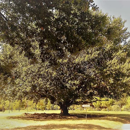 Prázdninový dům Le Poulailler De La Soursol