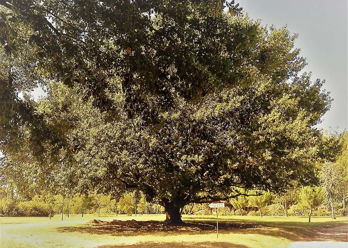 Le Poulailler De La Soursol * Rivières